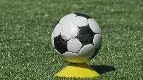 2025体育赛事日历揭晓！盘点关键赛事，一图掌握概览