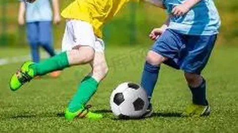 开云体育app下载 资讯 113649 0uy