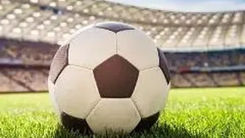 开云体育app下载 资讯 114731 7l1