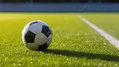 2025赛季夏季英超转会市场球员引进盘点